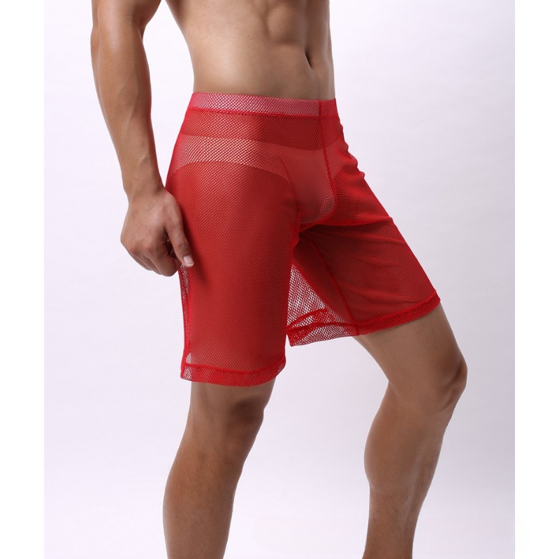 Low Rise Mesh Erotic Underwear - Pouch Boxer Pouch ulasan dan harga